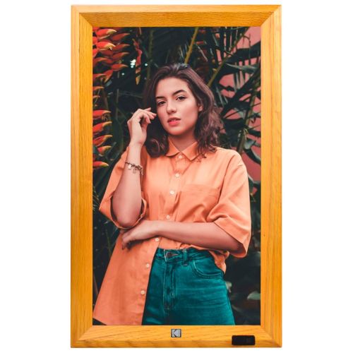 Kodak WF173V WiFi wooden brown (WF173V BW)