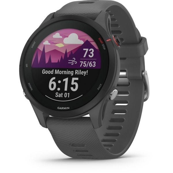 Garmin Forerunner 255 schist/black (010-02641-10)