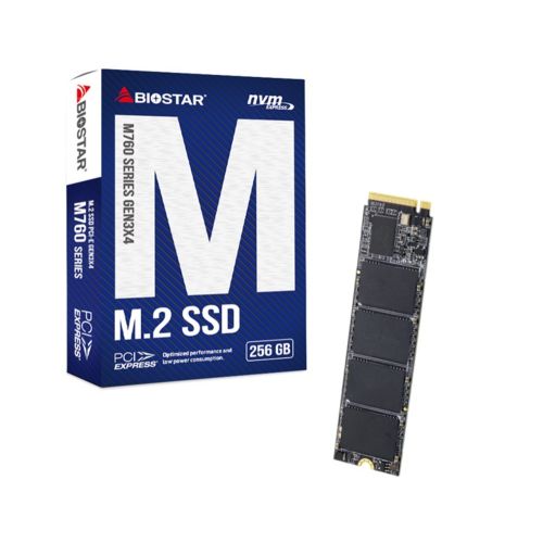 SSD Biostar M760 256GB (SA122PME36)
