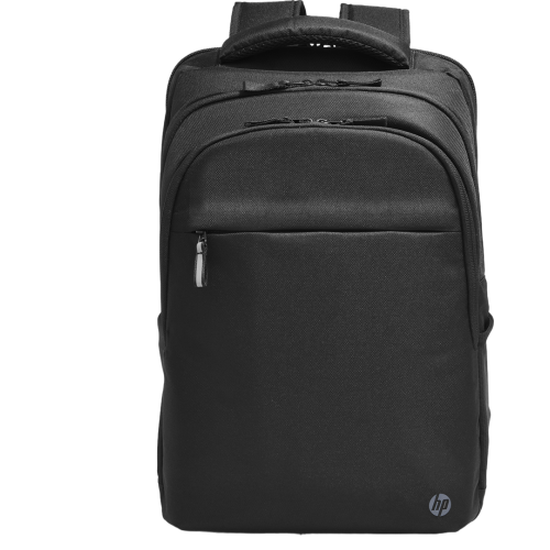 HP Professional 17.3-inch Backpack (500S6AA)