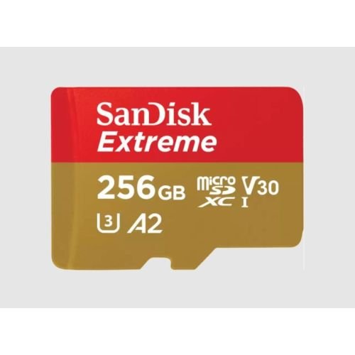 SanDisk Extreme 256 GB MicroSDXC UHS-I Class 10 (SDSQXAV-256G-GN6MA)