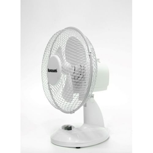 Desktop Fan Ravanson WT-1023 White (WT-1023)
