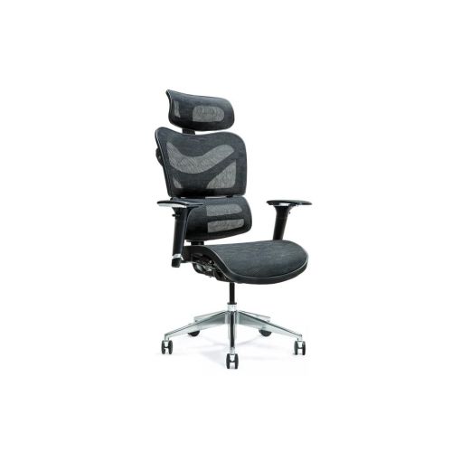 Ergonomic office chair ERGO 600 black (JNS-726B BLACK)
