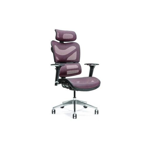 Ergonomic office chair ERGO 600 plum (JNS-726 BURGUND)