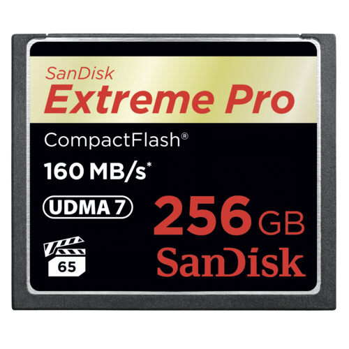SanDisk ExtremePro2 256 GB  (SDCFXPS-256G-X46)