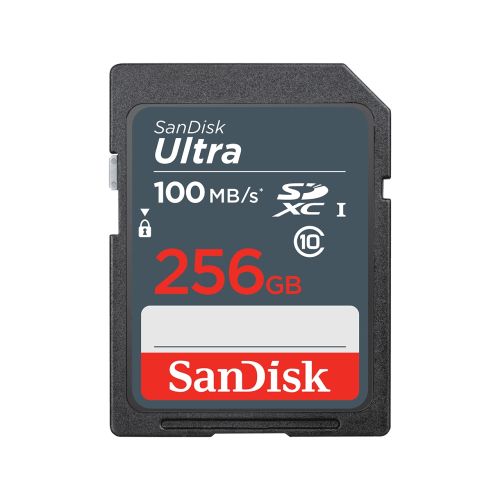 SanDisk Ultra memory card 256 GB SDXC UHS-I Class 10 (SDSDUNR-256G-GN3IN)