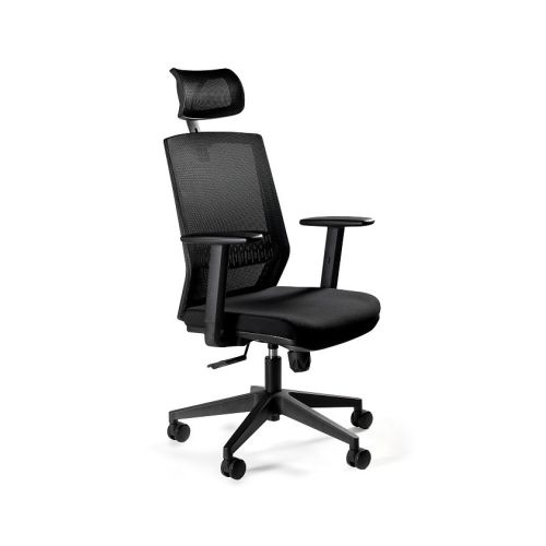 Ergonomic office chair ESTA black (ESTA FS02-1H)