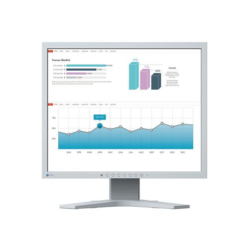 EIZO FlexScan S1934, LED-Monitor (S1934H-GY)